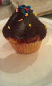 IMAG0197 burgers and cupcakes chocolate frosted cupcake